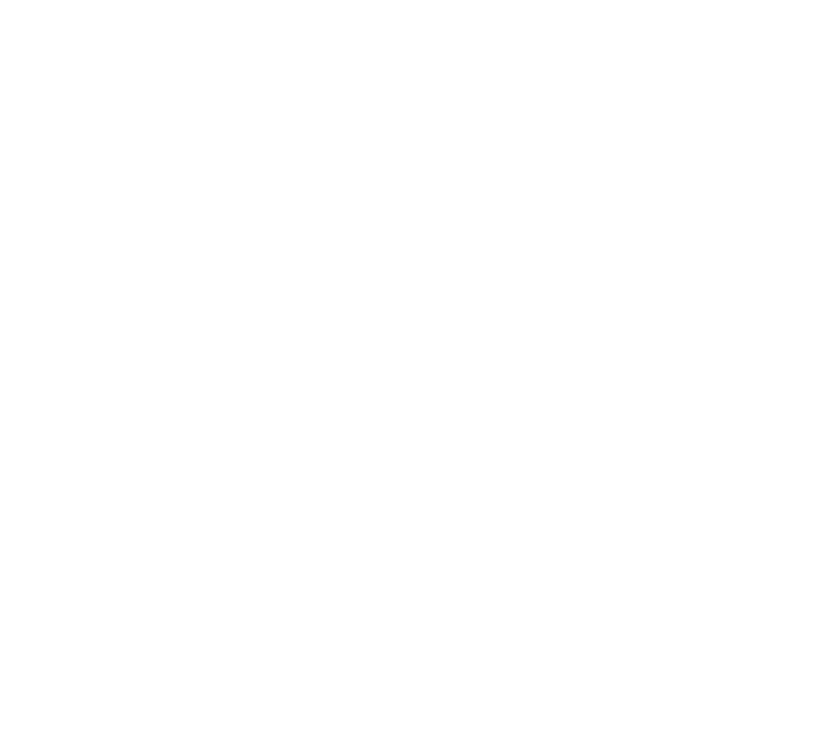 Hyatt Vivid