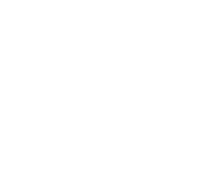 Hyatt Ziva