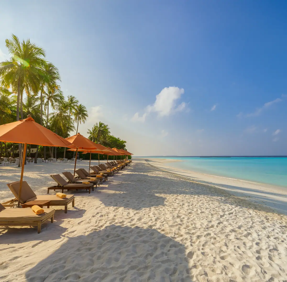 Cancún: una hilera de palapas y camastros junto a la orilla